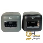 مولتی کوکر و پلوپز کویین مدل 7270 خاکستری
